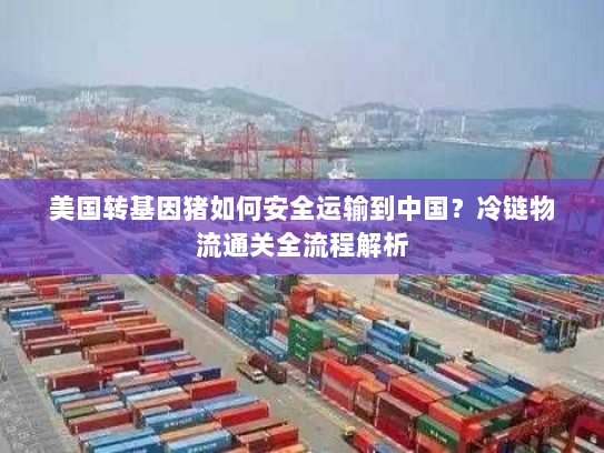 美国转基因猪如何安全运输到中国?冷链物流通关全流程解析 美国转基因猪如何安全运输到中国?冷链物流通关全流程解析