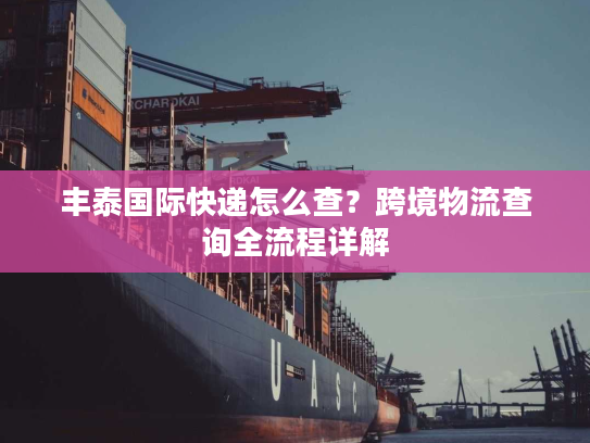 丰泰国际快递怎么查?跨境物流查询全流程详解 丰泰国际快递怎么查?跨境物流查询全流程详解