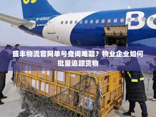 盛丰物流官网单号查询难题?物业企业如何批量追踪货物 盛丰物流官网单号查询难题?物业企业如何批量追踪货物