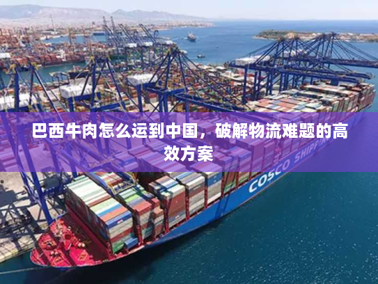 巴西牛肉怎么运到中国,破解物流难题的高效方案 巴西牛肉怎么运到中国,破解物流难题的高效方案