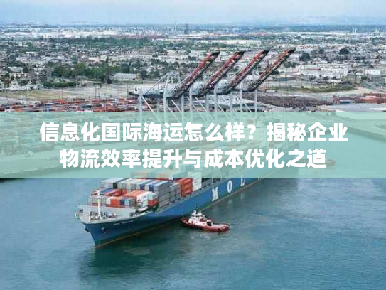 信息化国际海运怎么样？揭秘企业物流效率提升与成本优化之道
