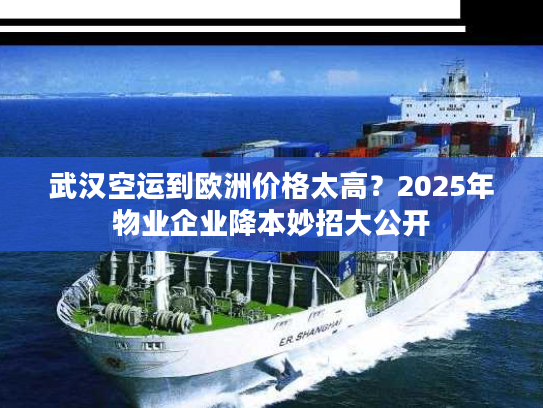 武汉空运到欧洲价格太高?2025年物业企业降本妙招大公开 武汉空运到欧洲价格太高?2025年物业企业降本妙招大公开