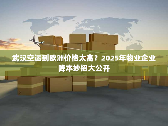 武汉空运到欧洲价格太高?2025年物业企业降本妙招大公开 武汉空运到欧洲价格太高?2025年物业企业降本妙招大公开