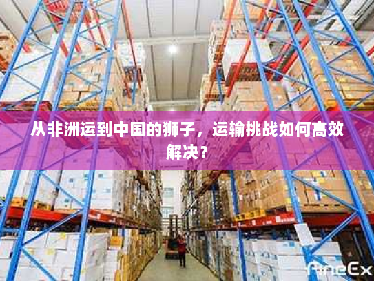 从非洲运到中国的狮子,运输挑战如何高效解决? 从非洲运到中国的狮子,运输挑战如何高效解决?