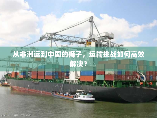 从非洲运到中国的狮子,运输挑战如何高效解决? 从非洲运到中国的狮子,运输挑战如何高效解决?