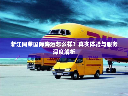 浙江同荣国际海运怎么样？真实体验与服务深度解析