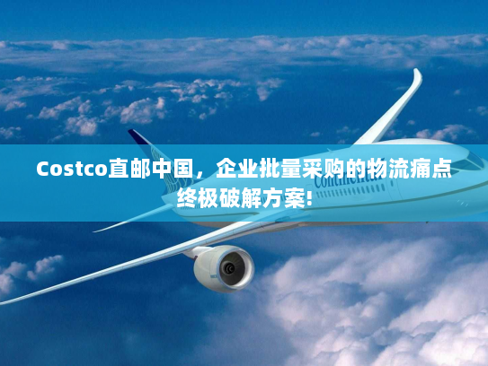 Costco直邮中国,企业批量采购的物流痛点终极破解方案! Costco直邮中国,企业批量采购的物流痛点终极破解方案!