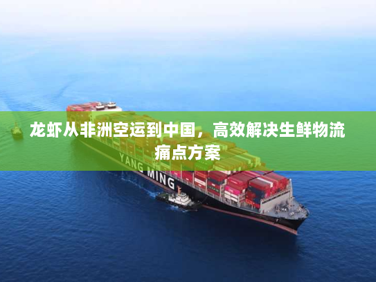 龙虾从非洲空运到中国,高效解决生鲜物流痛点方案 龙虾从非洲空运到中国,高效解决生鲜物流痛点方案