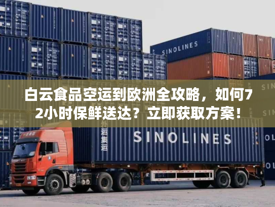 白云食品空运到欧洲全攻略，如何72小时保鲜送达？立即获取方案！