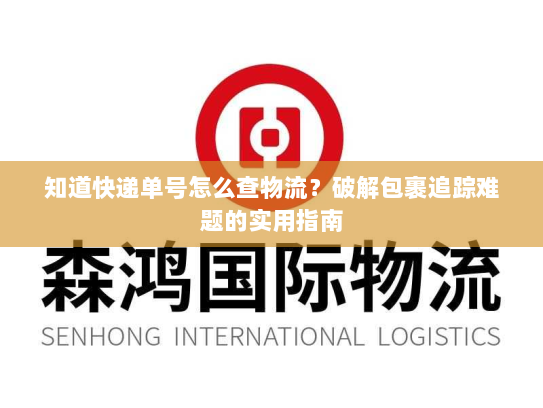 知道快递单号怎么查物流?破解包裹追踪难题的实用指南 知道快递单号怎么查物流?破解包裹追踪难题的实用指南