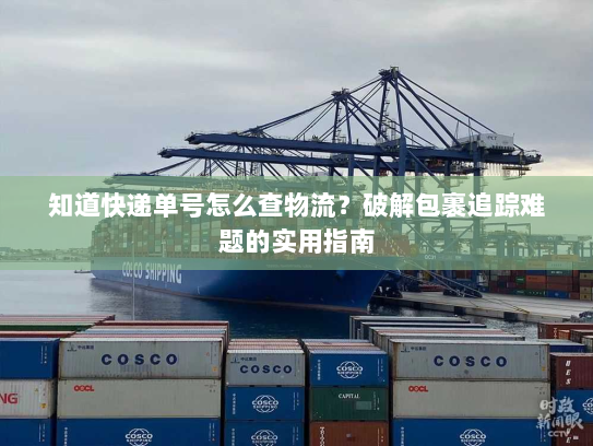 知道快递单号怎么查物流?破解包裹追踪难题的实用指南 知道快递单号怎么查物流?破解包裹追踪难题的实用指南