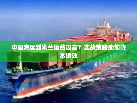 中国海运到米兰运费过高?实战策略助您降本增效 中国海运到米兰运费过高?实战策略助您降本增效