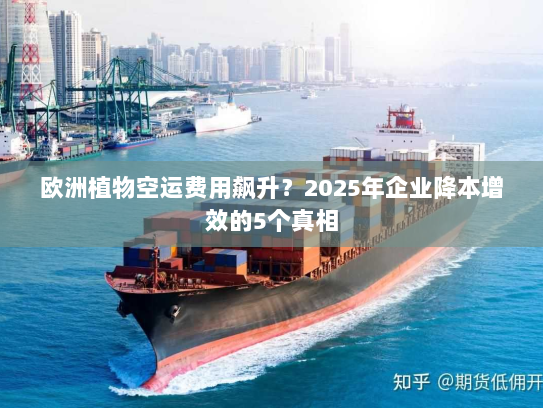 欧洲植物空运费用飙升?2025年企业降本增效的5个真相 欧洲植物空运费用飙升?2025年企业降本增效的5个真相