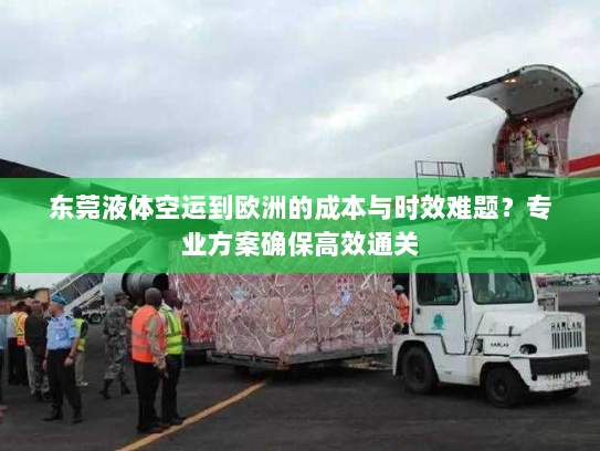 东莞液体空运到欧洲的成本与时效难题?专业方案确保高效通关 东莞液体空运到欧洲的成本与时效难题?专业方案确保高效通关