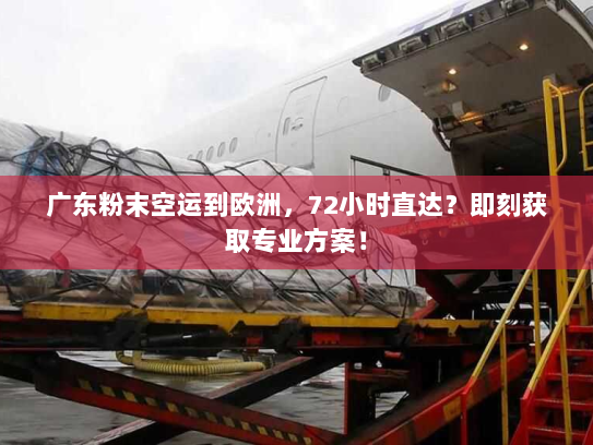 广东粉末空运到欧洲,72小时直达?即刻获取专业方案! 广东粉末空运到欧洲,72小时直达?即刻获取专业方案!