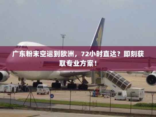 广东粉末空运到欧洲,72小时直达?即刻获取专业方案! 广东粉末空运到欧洲,72小时直达?即刻获取专业方案!