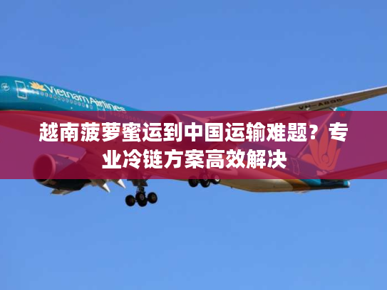 越南菠萝蜜运到中国运输难题？专业冷链方案高效解决