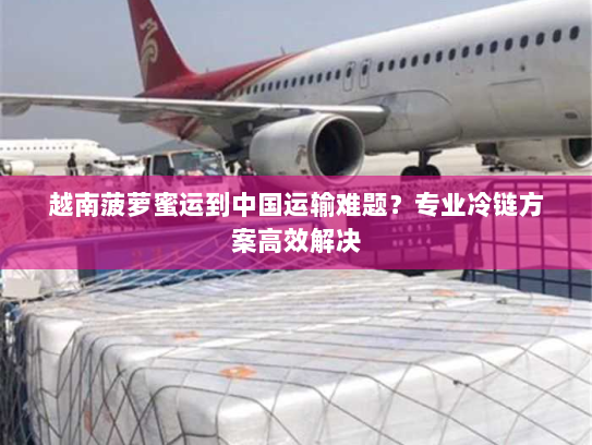 越南菠萝蜜运到中国运输难题?专业冷链方案高效解决 越南菠萝蜜运到中国运输难题?专业冷链方案高效解决
