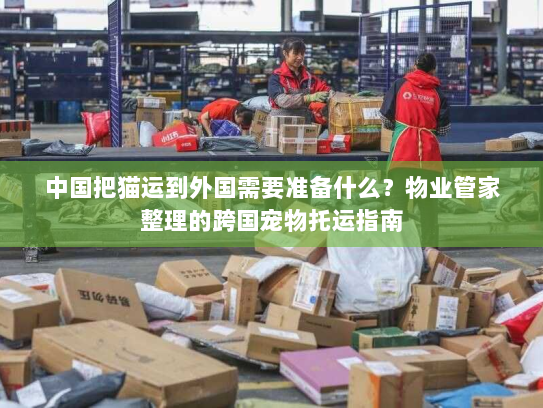 中国把猫运到外国需要准备什么?物业管家整理的跨国宠物托运指南 中国把猫运到外国需要准备什么?物业管家整理的跨国宠物托运指南