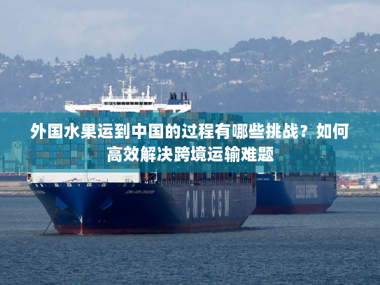 外国水果运到中国的过程有哪些挑战?如何高效解决跨境运输难题 外国水果运到中国的过程有哪些挑战?如何高效解决跨境运输难题
