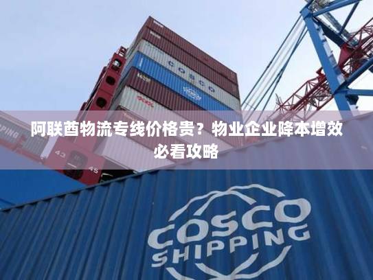 阿联酋物流专线价格贵?物业企业降本增效必看攻略 阿联酋物流专线价格贵?物业企业降本增效必看攻略