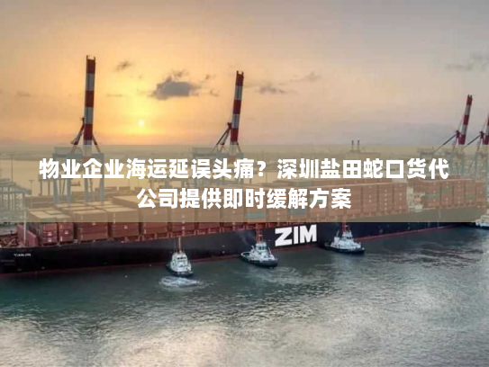 物业企业海运延误头痛?深圳盐田蛇口货代公司提供即时缓解方案 物业企业海运延误头痛?深圳盐田蛇口货代公司提供即时缓解方案