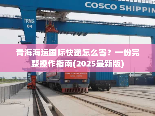 青海海运国际快递怎么寄？一份完整操作指南(2025最新版)