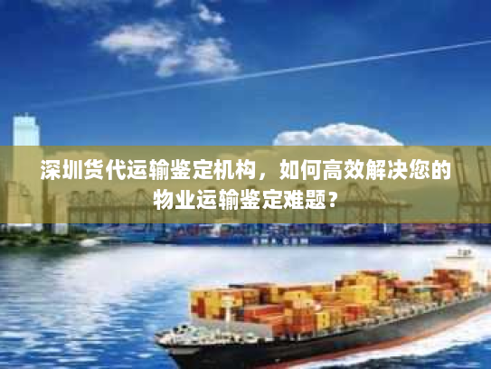 深圳货代运输鉴定机构,如何高效解决您的物业运输鉴定难题? 深圳货代运输鉴定机构,如何高效解决您的物业运输鉴定难题?