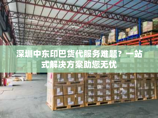深圳中东印巴货代服务难题?一站式解决方案助您无忧 深圳中东印巴货代服务难题?一站式解决方案助您无忧