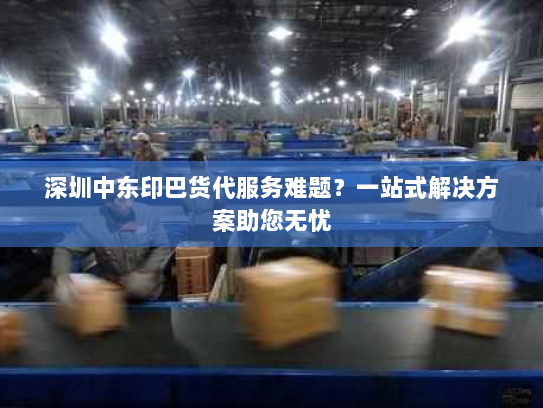 深圳中东印巴货代服务难题?一站式解决方案助您无忧 深圳中东印巴货代服务难题?一站式解决方案助您无忧