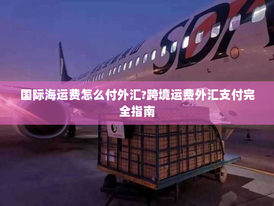 国际海运费怎么付外汇?跨境运费外汇支付完全指南 国际海运费怎么付外汇?跨境运费外汇支付完全指南