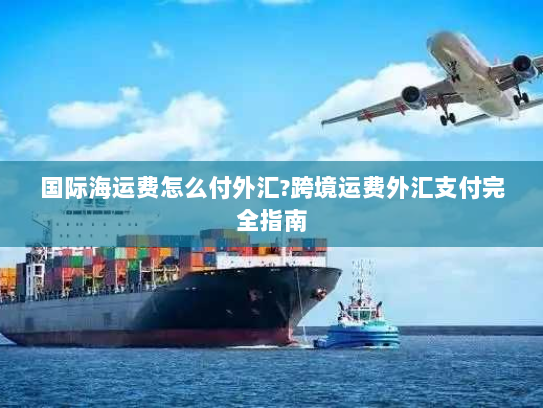 国际海运费怎么付外汇?跨境运费外汇支付完全指南 国际海运费怎么付外汇?跨境运费外汇支付完全指南