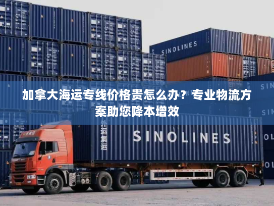 加拿大海运专线价格贵怎么办？专业物流方案助您降本增效