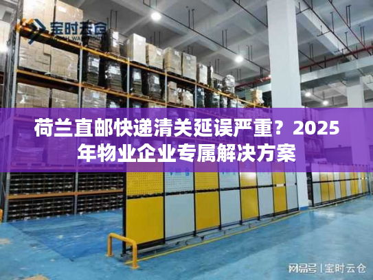 荷兰直邮快递清关延误严重？2025年物业企业专属解决方案