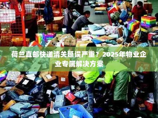 荷兰直邮快递清关延误严重?2025年物业企业专属解决方案 荷兰直邮快递清关延误严重?2025年物业企业专属解决方案