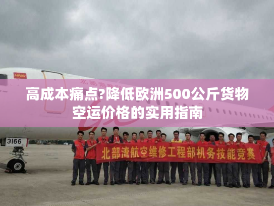 高成本痛点?降低欧洲500公斤货物空运价格的实用指南