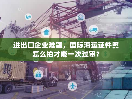 进出口企业难题，国际海运证件照怎么拍才能一次过审？