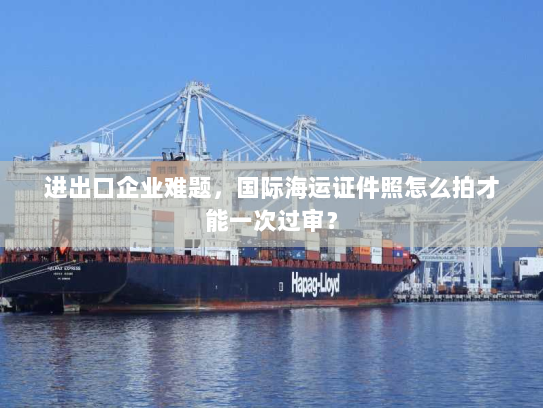 进出口企业难题,国际海运证件照怎么拍才能一次过审? 进出口企业难题,国际海运证件照怎么拍才能一次过审?