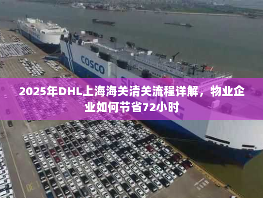 2025年DHL上海海关清关流程详解,物业企业如何节省72小时 2025年DHL上海海关清关流程详解,物业企业如何节省72小时