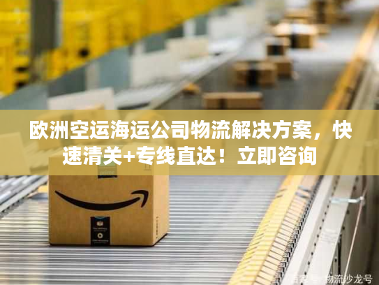 欧洲空运海运公司物流解决方案，快速清关+专线直达！立即咨询