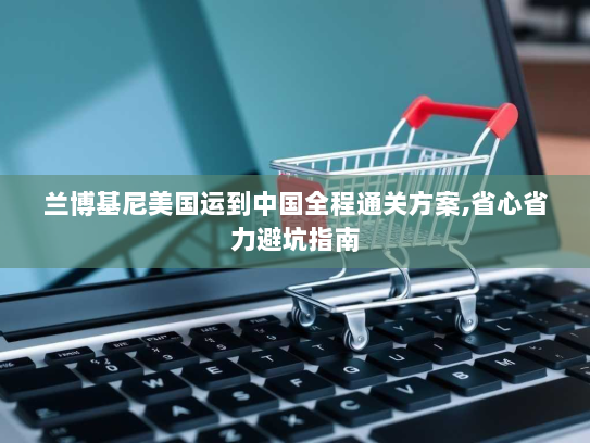 兰博基尼美国运到中国全程通关方案,省心省力避坑指南 兰博基尼美国运到中国全程通关方案,省心省力避坑指南