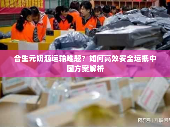 合生元奶源运输难题?如何高效安全运抵中国方案解析 合生元奶源运输难题?如何高效安全运抵中国方案解析