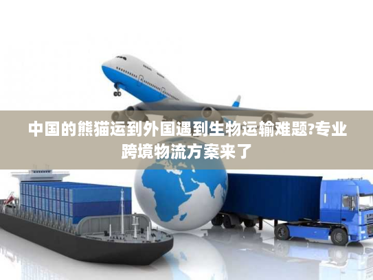 中国的熊猫运到外国遇到生物运输难题?专业跨境物流方案来了 中国的熊猫运到外国遇到生物运输难题?专业跨境物流方案来了