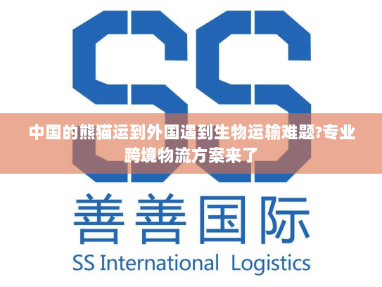中国的熊猫运到外国遇到生物运输难题?专业跨境物流方案来了 中国的熊猫运到外国遇到生物运输难题?专业跨境物流方案来了