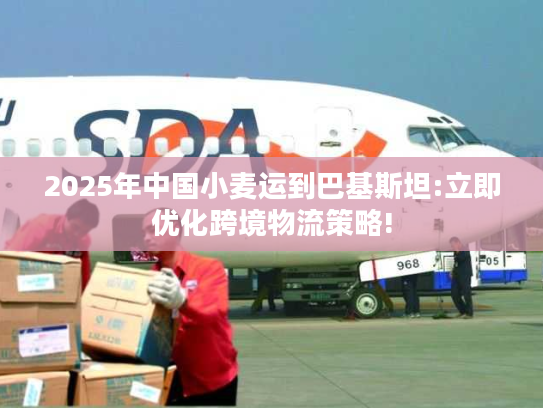 2025年中国小麦运到巴基斯坦:立即优化跨境物流策略!