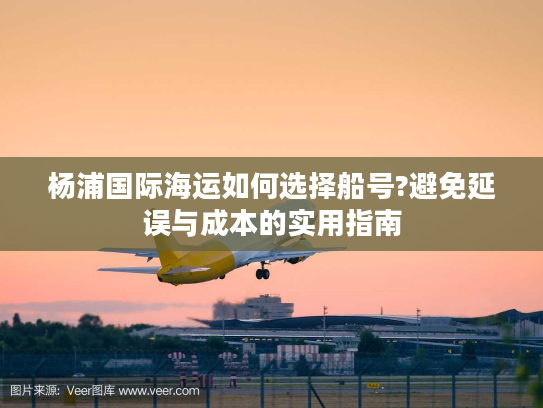 杨浦国际海运如何选择船号?避免延误与成本的实用指南