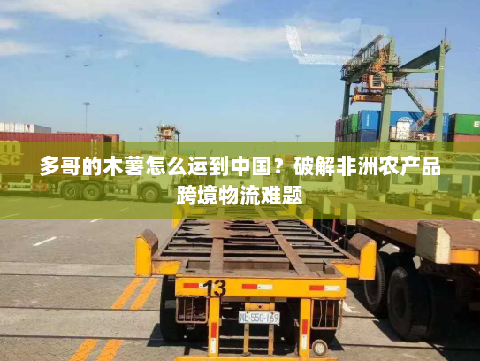 多哥的木薯怎么运到中国？破解非洲农产品跨境物流难题