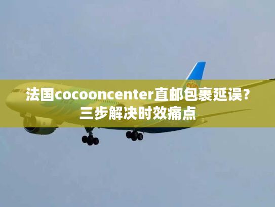法国cocooncenter直邮包裹延误？三步解决时效痛点