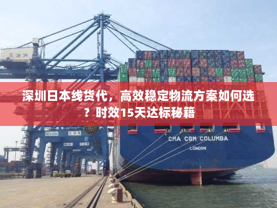 深圳日本线货代，高效稳定物流方案如何选？时效15天达标秘籍