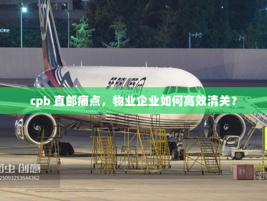 cpb 直邮痛点,物业企业如何高效清关? cpb 直邮痛点,物业企业如何高效清关?